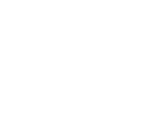 2 Gig decorative logo badge